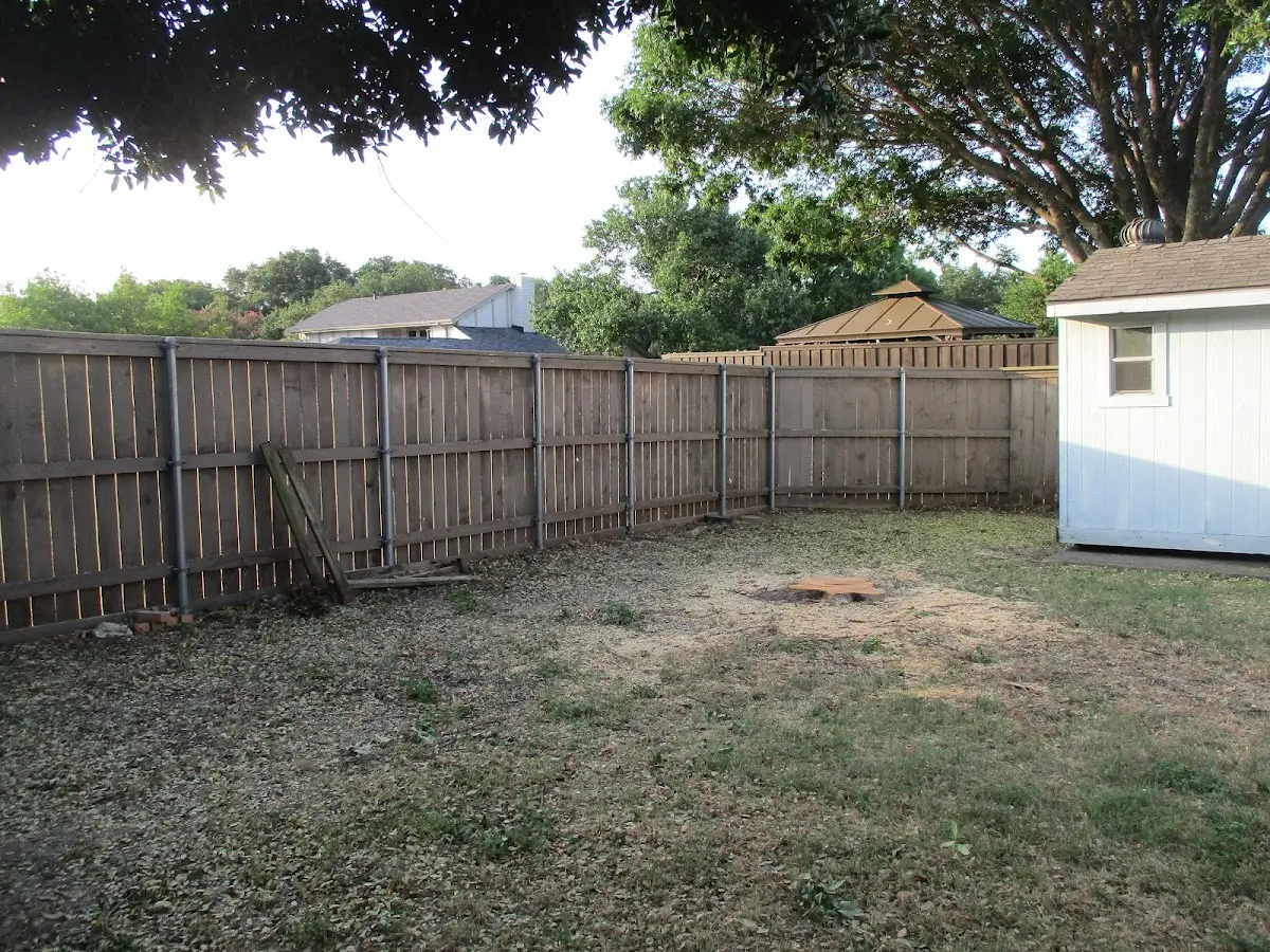 Cleared yard after professional tree removal in Fulshear